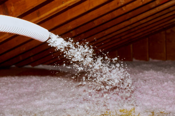 Best Insulation for Specific Applications in Sky Valley, CA
