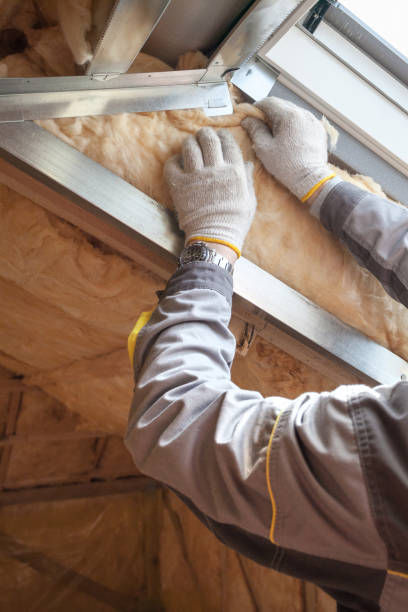 Best Insulation for Specific Applications in Sky Valley, CA