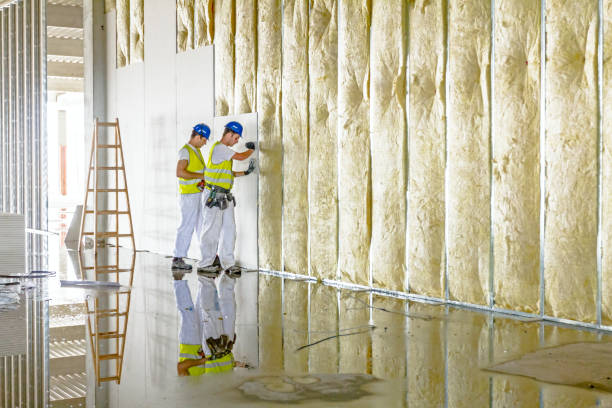 Best Insulation Maintenance and Repair in Sky Valley, CA